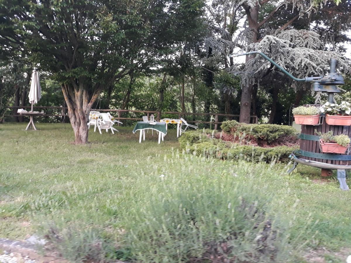 Bed and Breakfast Gavi/Alice Open Space Экстерьер фото