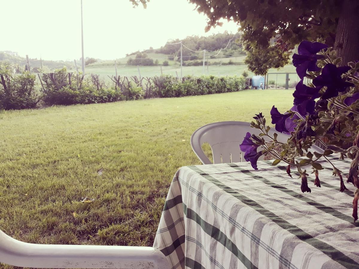 Bed and Breakfast Gavi/Alice Open Space Экстерьер фото