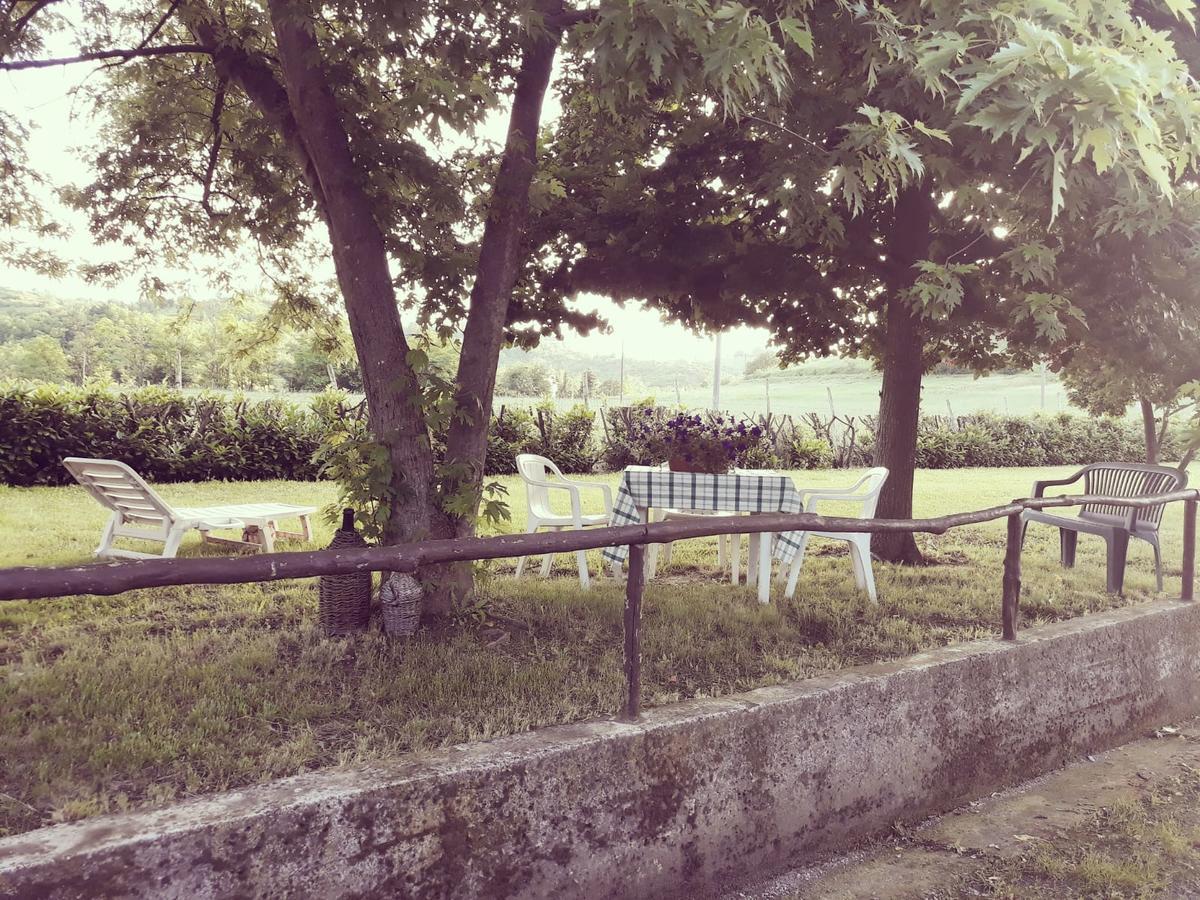 Bed and Breakfast Gavi/Alice Open Space Экстерьер фото